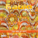 113.FM Hits 1977 live