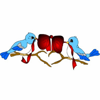 clairetnetradio live