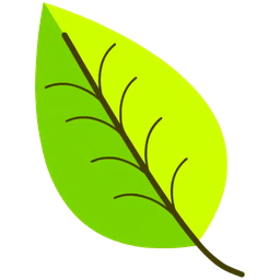 Beechberg Radio live