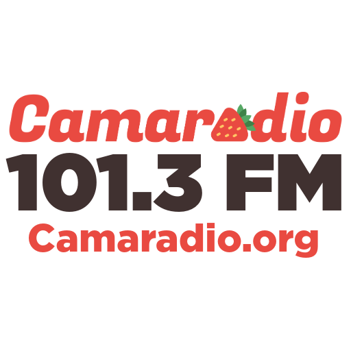 Camaradio live