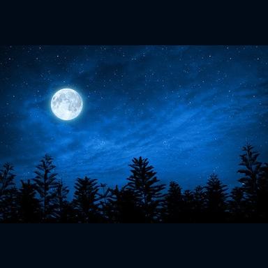 Classic Songs Uncut live