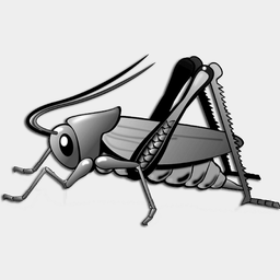 Cricket Radio Country Hits live