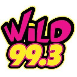 KWLZ Wild 99.3 FM live