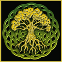 Contemporary Celtic live