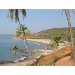 4Lobos Pop & Oldies Radio Station live