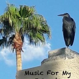 Music For My Friends (Lance R Olson Music)(lancer0750@yahoo.com) live