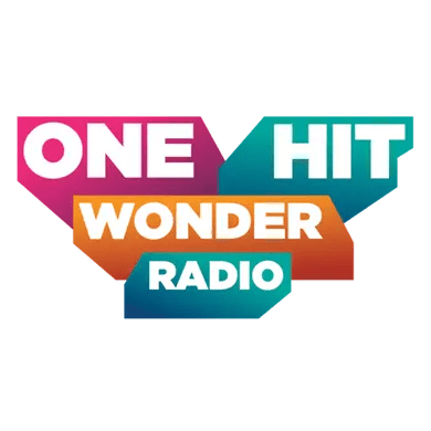 One Hit Wonders live