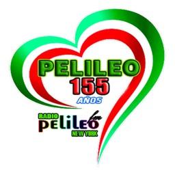Pelileo Radio TV live