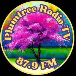 Plumtree Radio live