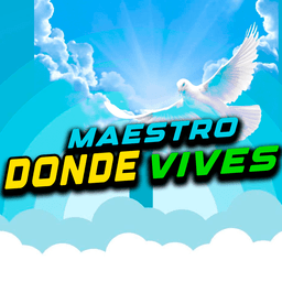 Maestro Donde Vives live