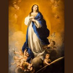 Radio Transfiguration live