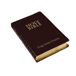 The Berean Bible Study live