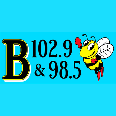 WBOO / WDLS B102.9 & 98.5 live