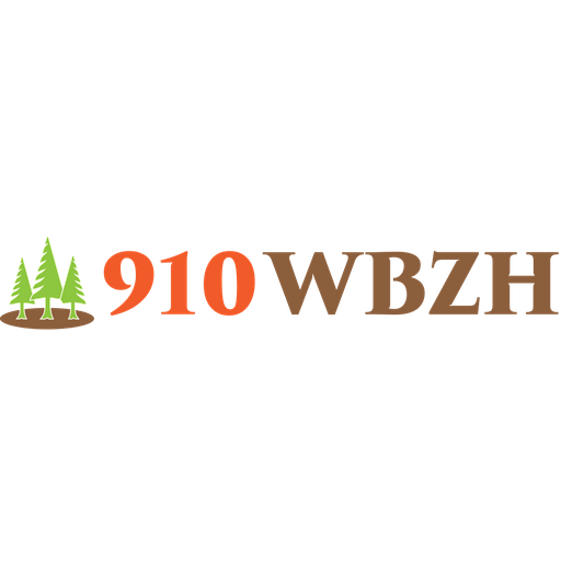 WBZH The Buzz 910 AM live