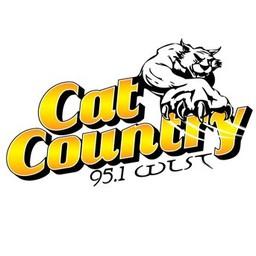 WLST Cat Country 95.1 FM live