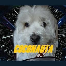 Coconauta Radio live