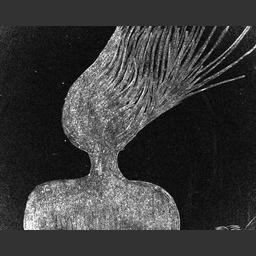 Proyecto Radio Abierta live