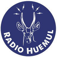 Radio Huemul live
