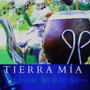 Tierra Mía live