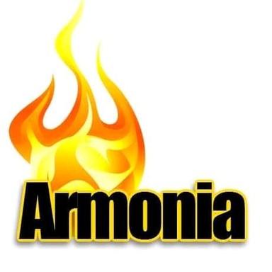 Armonía 100.1 live