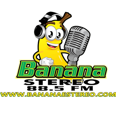 Banana Stereo live