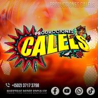 CalelS live