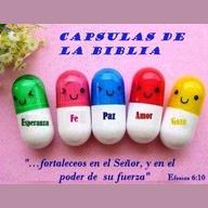 Capsulas de la Biblia live