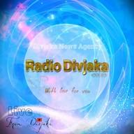 Divjaka Radio live