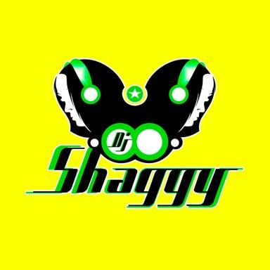 Dj Shaggy Venezuela live
