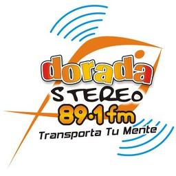 Dorada Stereo live