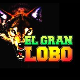 El Gran Lobo live