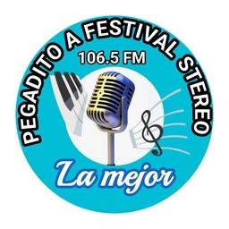 Festival Estéreo live
