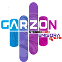 Garzon Stereo live