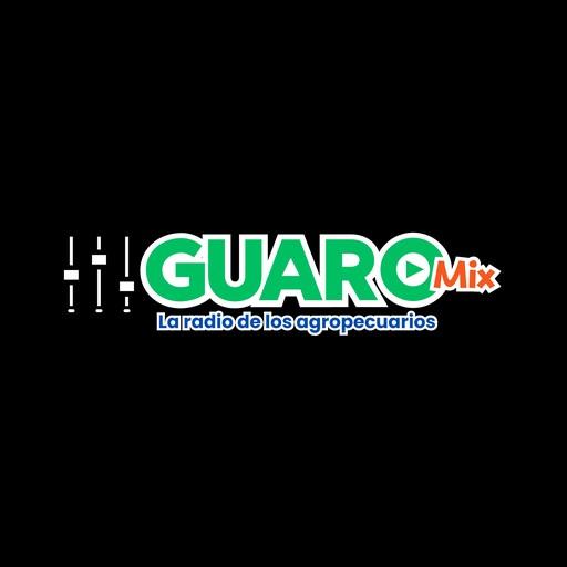 Guaro Mix live