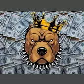 Josue Promotion Radio live