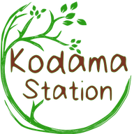 Kodama Station live