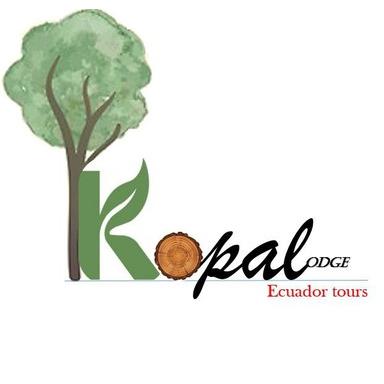 Kopalradio live