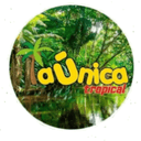 La Unica Tropical live