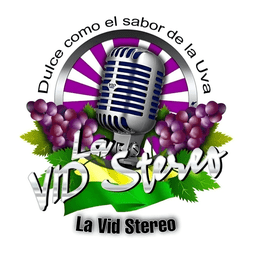 La Vid Stereo live