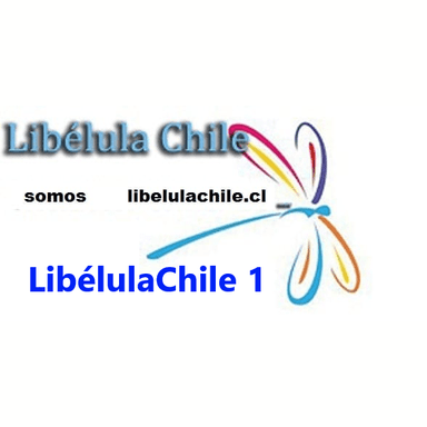 Libélula Chile 1 live