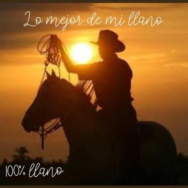 Lo Mejor de Mi Llano live