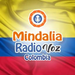 Mindalia Voz Colombia live Mindalia Voz Colombia live