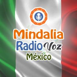 Mindalia Voz México live