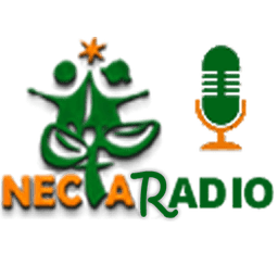 NECTARADIO live