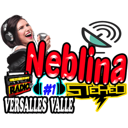 Neblina Stereo live