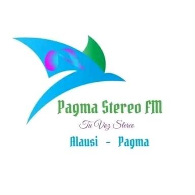 Pagma Stereo live