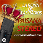 Paisana Stereo live