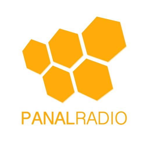 Panal Radio live