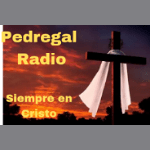 Pedregal Radio live