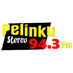 Pelinku Stereo live